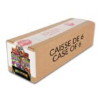 Pokémon - Mega Evolution Base Set - Enhanced Booster Box - Sealed Case of 6